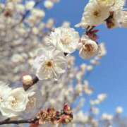 ヒメ日記 2026/01/18 13:20 投稿 ひかる SMAT×SMAT（スマットスマット）