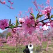 ひかる おはようございます。 SMAT×SMAT（スマットスマット）