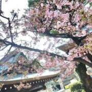 ヒメ日記 2025/03/13 09:16 投稿 まひる SMAT×SMAT（スマットスマット）