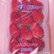 ヒメ日記 2025/03/17 09:37 投稿 まひる SMAT×SMAT（スマットスマット）