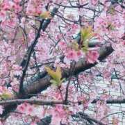 ヒメ日記 2025/03/23 22:52 投稿 まひる SMAT×SMAT（スマットスマット）