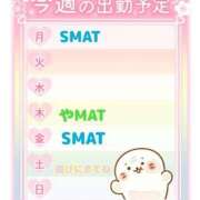ヒメ日記 2025/03/24 09:18 投稿 まひる SMAT×SMAT（スマットスマット）