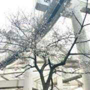 ヒメ日記 2025/03/28 09:22 投稿 まひる SMAT×SMAT（スマットスマット）