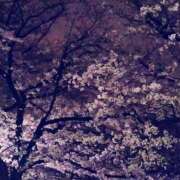 ヒメ日記 2025/03/29 05:39 投稿 まひる SMAT×SMAT（スマットスマット）