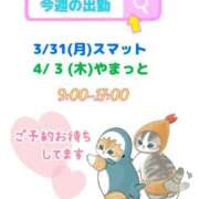 ヒメ日記 2025/03/31 07:28 投稿 まひる SMAT×SMAT（スマットスマット）