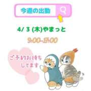 ヒメ日記 2025/04/02 01:40 投稿 まひる SMAT×SMAT（スマットスマット）