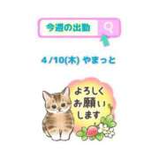 ヒメ日記 2025/04/09 09:40 投稿 まひる SMAT×SMAT（スマットスマット）