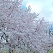 ヒメ日記 2025/04/12 23:54 投稿 まひる SMAT×SMAT（スマットスマット）