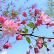 ヒメ日記 2025/04/22 09:14 投稿 まひる SMAT×SMAT（スマットスマット）