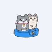 ヒメ日記 2025/05/08 06:00 投稿 まひる SMAT×SMAT（スマットスマット）