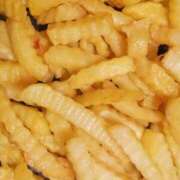 ヒメ日記 2025/05/20 23:45 投稿 まひる SMAT×SMAT（スマットスマット）