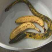 ヒメ日記 2025/06/05 12:58 投稿 まひる SMAT×SMAT（スマットスマット）