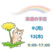 ヒメ日記 2025/06/08 09:26 投稿 まひる SMAT×SMAT（スマットスマット）