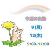 ヒメ日記 2025/06/09 09:38 投稿 まひる SMAT×SMAT（スマットスマット）