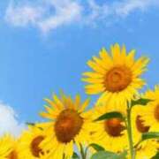 ヒメ日記 2025/08/21 06:49 投稿 まひる SMAT×SMAT（スマットスマット）