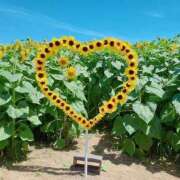 ヒメ日記 2025/08/25 19:56 投稿 まひる SMAT×SMAT（スマットスマット）