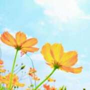 ヒメ日記 2025/09/30 10:12 投稿 まひる SMAT×SMAT（スマットスマット）