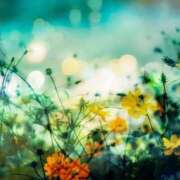 ヒメ日記 2025/10/07 10:13 投稿 まひる SMAT×SMAT（スマットスマット）