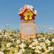 ヒメ日記 2025/11/18 17:10 投稿 まひる SMAT×SMAT（スマットスマット）