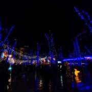 ヒメ日記 2025/12/21 14:47 投稿 まひる SMAT×SMAT（スマットスマット）