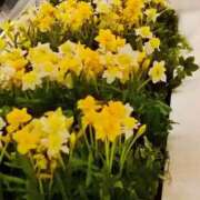 ヒメ日記 2025/12/30 09:19 投稿 まひる SMAT×SMAT（スマットスマット）