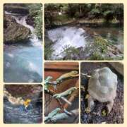 ヒメ日記 2025/07/18 11:55 投稿 まなみ club Ego