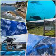 ヒメ日記 2025/08/29 12:09 投稿 まなみ club Ego