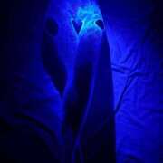 ヒメ日記 2025/11/16 12:11 投稿 弥生 club Ego