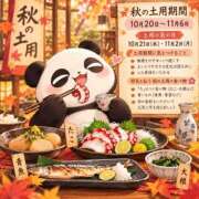 ヒメ日記 2026/10/21 10:50 投稿 弥生 club Ego