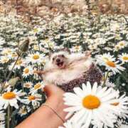 ヒメ日記 2025/05/08 13:35 投稿 あずさ club Ego