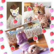 ヒメ日記 2025/02/02 09:25 投稿 ゆうな club Ego