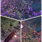 ヒメ日記 2025/03/28 20:14 投稿 ゆうな club Ego