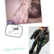 ヒメ日記 2025/05/03 11:25 投稿 ゆうな club Ego