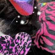 ヒメ日記 2025/06/18 12:31 投稿 ゆうな club Ego