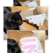 ヒメ日記 2025/06/18 13:10 投稿 ゆうな club Ego