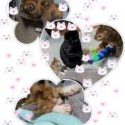 ヒメ日記 2025/06/23 10:34 投稿 ゆうな club Ego