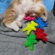 ヒメ日記 2025/06/24 22:59 投稿 ゆうな club Ego