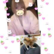 ヒメ日記 2025/06/26 09:50 投稿 ゆうな club Ego