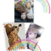 ヒメ日記 2025/06/27 23:45 投稿 ゆうな club Ego