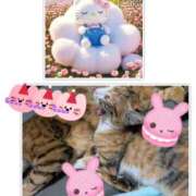 ヒメ日記 2025/08/13 21:17 投稿 ゆうな club Ego