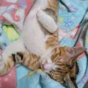 ヒメ日記 2025/08/17 13:57 投稿 ゆうな club Ego