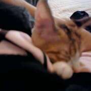 ヒメ日記 2025/09/28 10:27 投稿 ゆうな club Ego