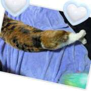 ヒメ日記 2025/10/21 11:21 投稿 ゆうな club Ego