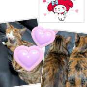 ヒメ日記 2025/11/18 00:16 投稿 ゆうな club Ego