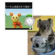 ヒメ日記 2025/11/24 21:43 投稿 ゆうな club Ego