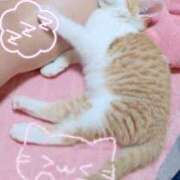 ゆうな こんにちは💫 club Ego