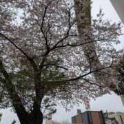 ヒメ日記 2026/04/05 16:18 投稿 ゆうな club Ego