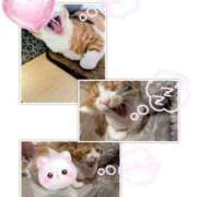 ヒメ日記 2026/04/06 09:24 投稿 ゆうな club Ego