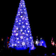 ヒメ日記 2024/12/24 08:30 投稿 常盤 熟女待機所 厚木店