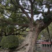 ヒメ日記 2025/02/18 09:58 投稿 常盤 熟女待機所 厚木店